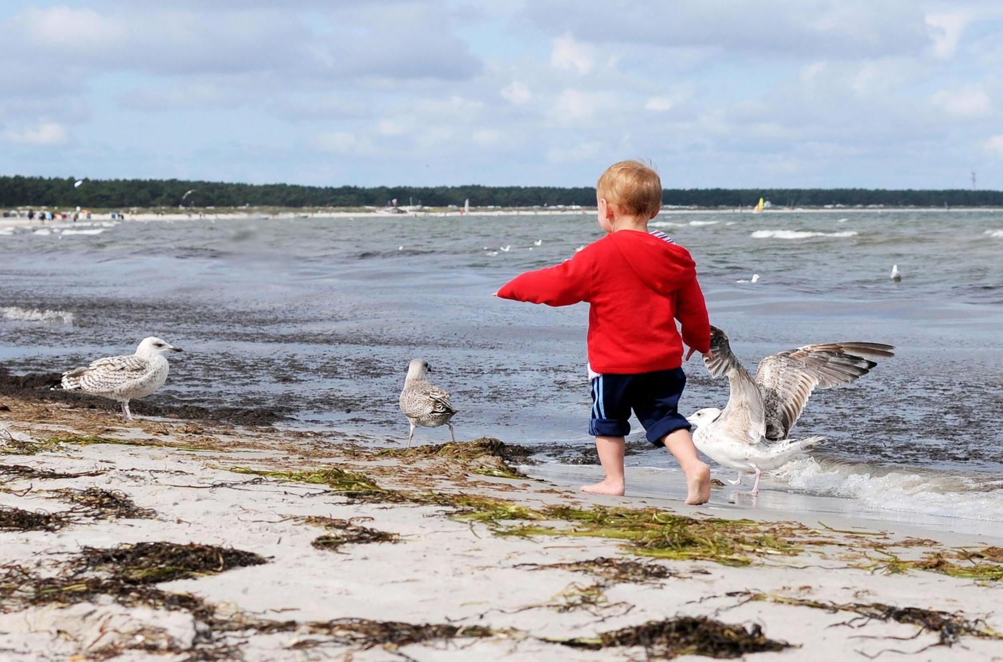 Leuchtturm An Der Seebruecke Zingst Kültér fotó