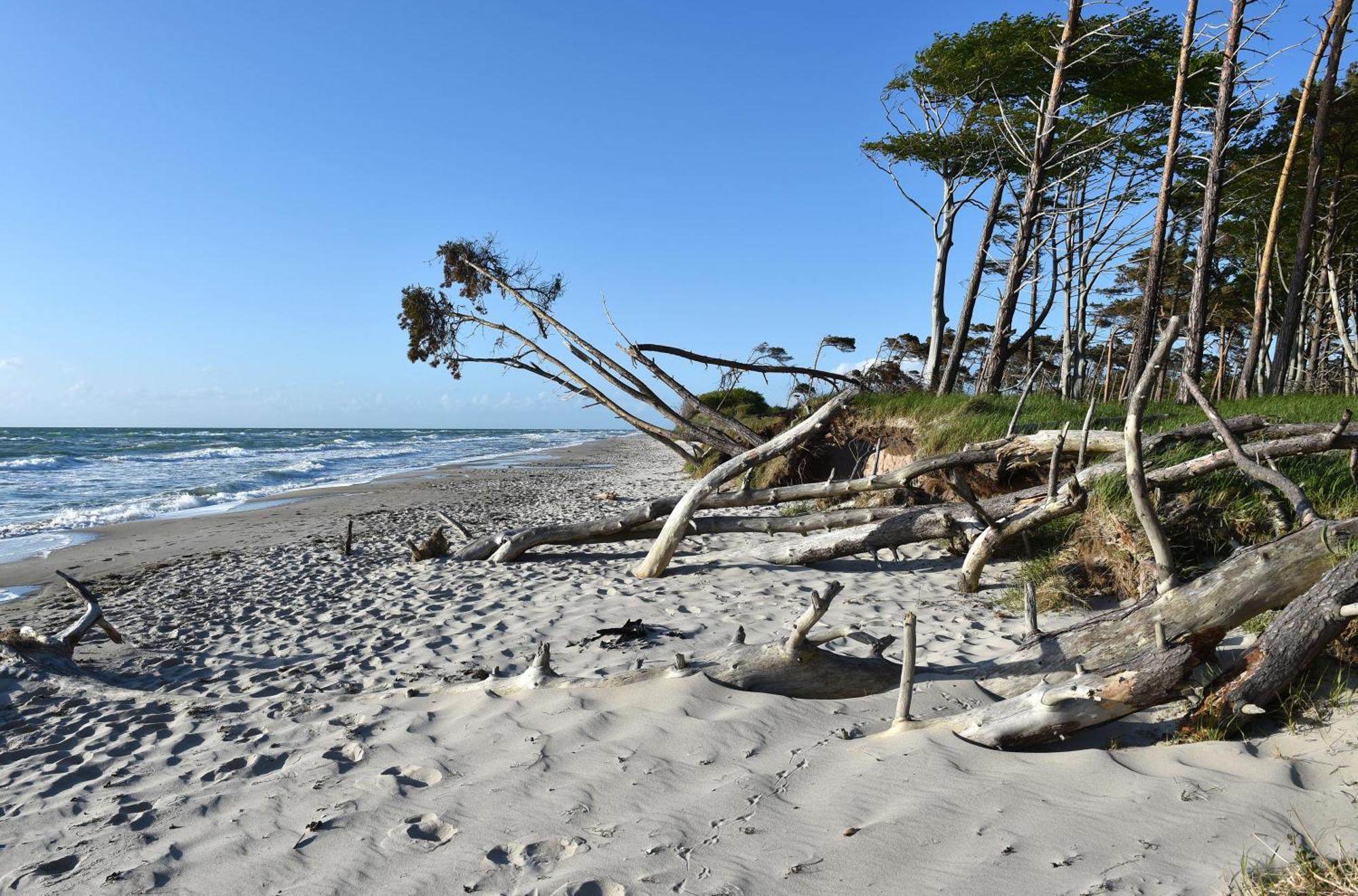 Leuchtturm An Der Seebruecke Zingst Kültér fotó